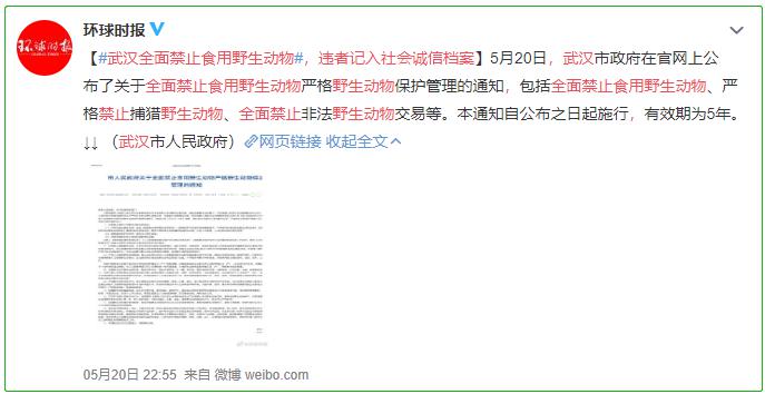 揭露,2025年正版资料免费大全与澳门一码一肖一特一中管家武汉