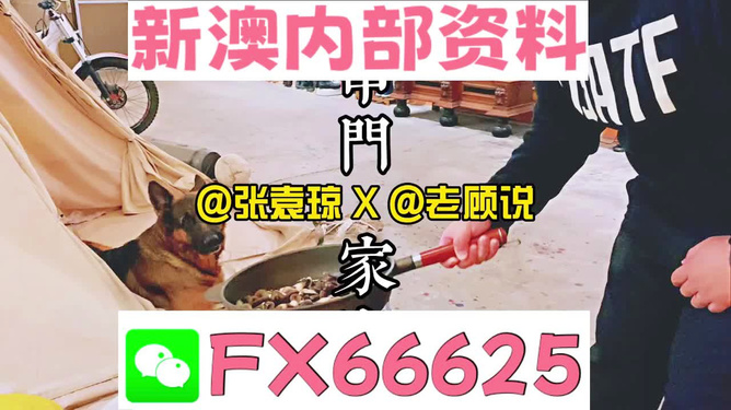 戳穿,新澳门管家婆免费资料查询,警惕虚假的假广告云